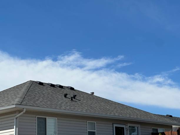 Best Metal Roofing Installation  in Duncannon, PA